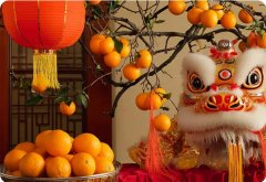 新年賀詞 | 筑夢未來，在這里展翅騰飛